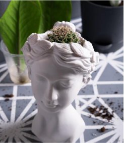 Dekoratif Yastık Kılıfları